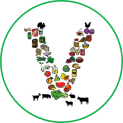 Bioalimals: Taller el vegetarianisme i veganisme en els joves